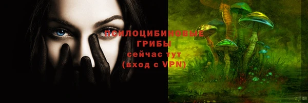 индика Лиски