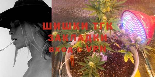 ECSTASY Липки