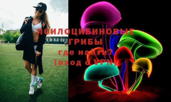 ECSTASY Липки
