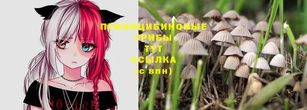 2c-b Майский