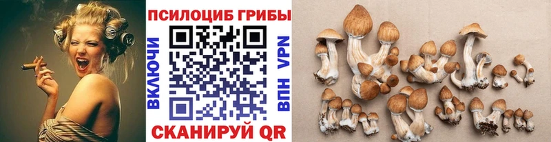 Псилоцибиновые грибы мухоморы Каменка