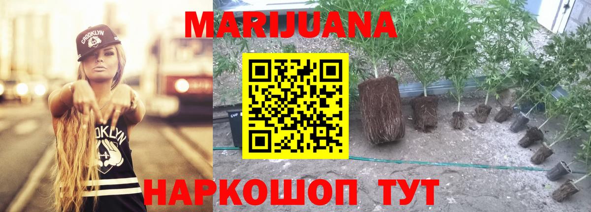 Бошки марихуана ГИДРОПОН  Вход с VPN  Каннабис Amnesia  Каннабис ГИДРОПОН  Каменка 